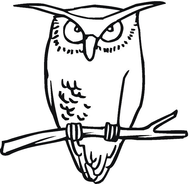 Owl Coloring Pages
