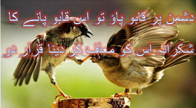 hazrat ali quotes in urdu