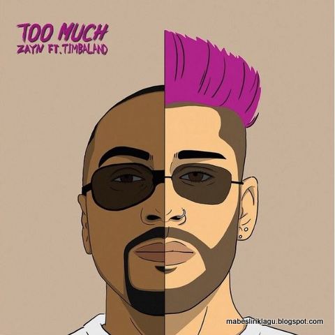 Zayn feat Timbaland - Too Much Lyrics