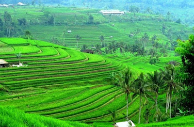 Bali has variety of breathtaking natural beauty, its world of wonders visit to Indonesia