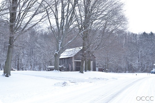 winter scenery (1 of 1)-14