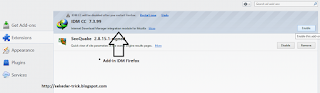 Internet Download Manager Add-On