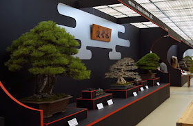Epic Bonsai trees on display at the Taikan-Ten Bonsai Exhibition in Kyoto Japan