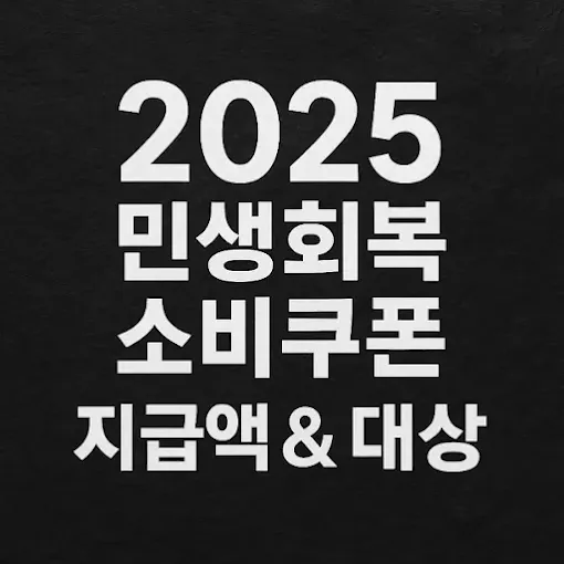 2025 민생회복 소비쿠폰 지급 대상·금액