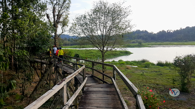 Hiking 5 km vào Bàu Sấu, khu rừng ngập mặn trong rừng Nam Cát Tiên