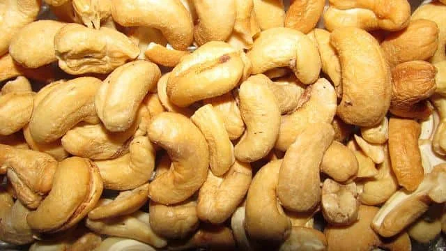 Cashews also have delicious dried fruit. It is eaten with gusto all over the world. It tastes like almonds. A hundred grams of cashews contain 100 calories and 51 grams of fat.