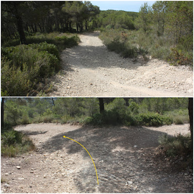 ALBINYANA - ERMITA SANT ANTONI - PUIG DE SANT ANTONI, Camí d'Escansa