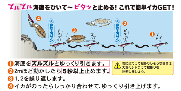 象と散歩 ズル引きエギングでスミイカを釣る