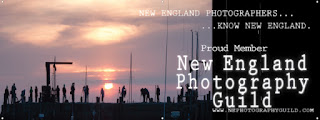 New England Photography Guild Link