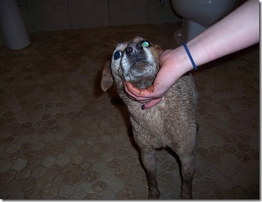 Alien Spud the mud puppy
