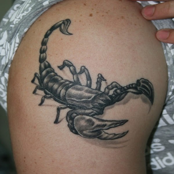 8 gambar  gambar  tatto 3D  scorpio