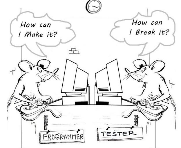 Developer vs Tester