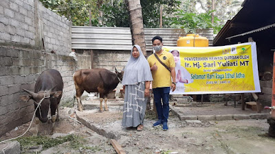 Idul Adha : Sari Yuliati Sumbang Puluhan Sapi Qurban di Lombok