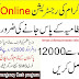 Ehsaas Program Application Form Download Prime Minister Ehsaas Program Online Apply 2020