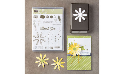 Craftyduckydoodah!, Daisy Delight, May 2017 Coffee & Cards Project, Stampin' Up! UK Independent  Demonstrator Susan Simpson, Supplies available 24/7 from my online store, 