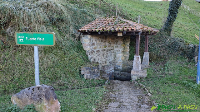 Fuente Vieja, Yernes