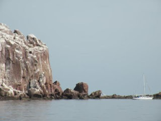 Los Islotes Sea Lion Colony