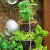 Hanging Basket Herb Garden DIY