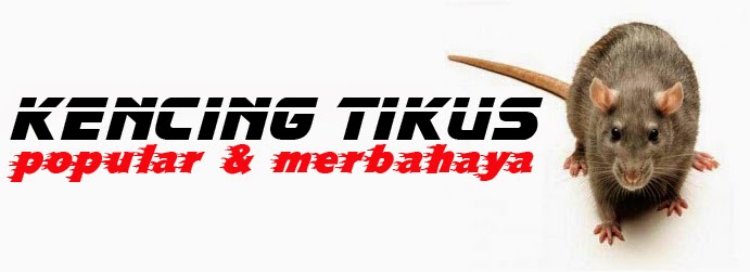 Herba Adalah Penawar Pelbagai Penyakit. : MINYAK MORHA 