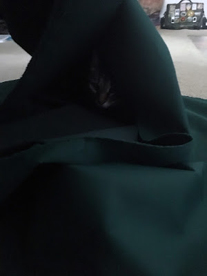 A small, somewhat obscured cat face peering out from the darkness of a draped piece of dark hunter green canvas.