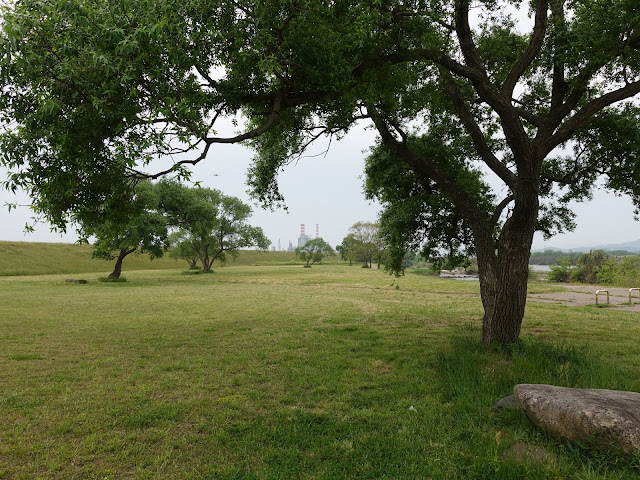 日野川河川敷　日吉津公園