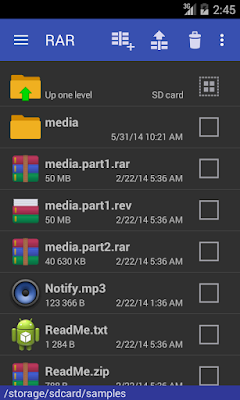 RAR Premium v5.30 Build 39 for Android