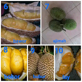 www.dwisangpetani.com