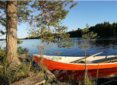 Punainen vene saaren rannassa, suuren männyn alla.