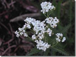 clip_image018