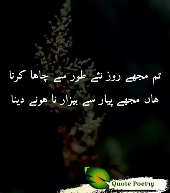 Sad Poetry in Urdu 2 Lines