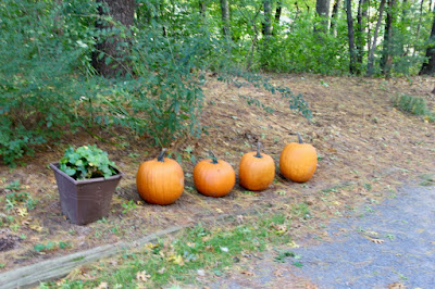 early October, pumpkins