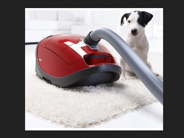 miele c3 cat and dog best price