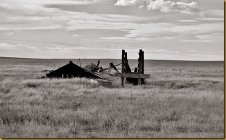 A cattle chute, stock tank and shed are silent reminders of bygone days at Shaw..