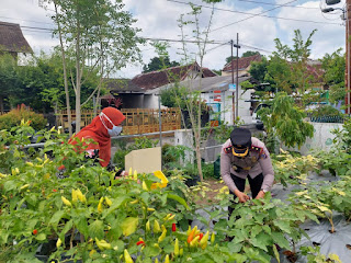 Polsek Danurejan Gelorakan Program Ketahanan Pangan