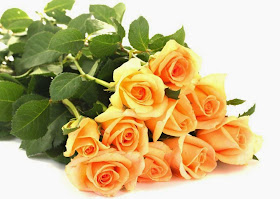 orange-rose-flowers-petals-leaves-hd-image