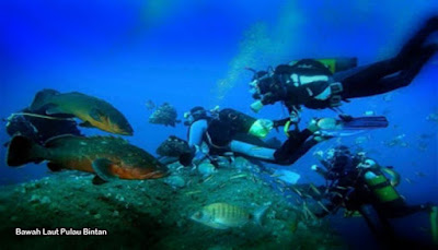 Bawah laut pulau bintan