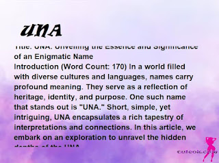 meaning of the name "UNA"