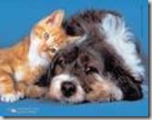 clip_image002[2]