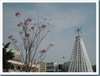 DSCN7849