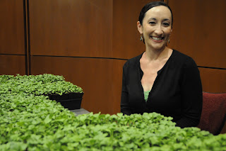 A seated Jennifer Nozawa is surrounded by green planters.