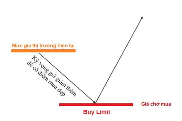 Lệnh Buy Limit là gì? Hướng dẫn cách sử dụng hiệu quả