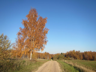 maastik Pangodi lähedal