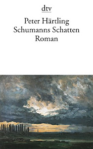 Schumanns Schatten: Variationen über mehrere Personen, Roman