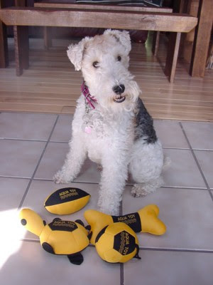 Thank you so much Snowball!! I really love my new toys & I promised Butchy 