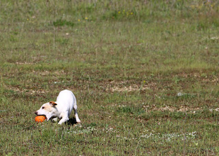 Thelma reaches a thrown ball