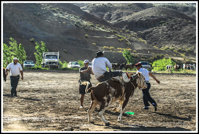 andacollo, veranador, fiesta, neuquen,