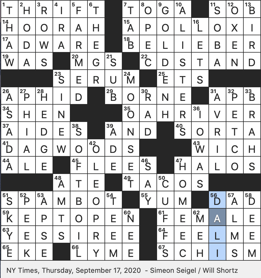 Party informally crossword clue
