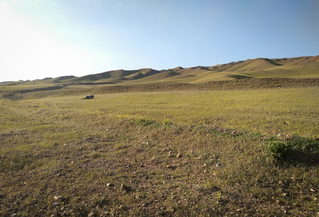 Pozand apusul la intrarea in Provincia Azerbaidjanul de Est, Iran