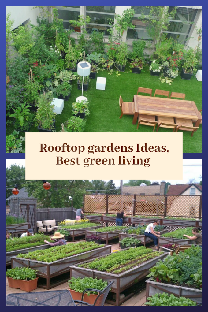 Rooftop gardens Ideas, Best green living 