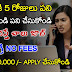 Phonepe Work From Home Jobs